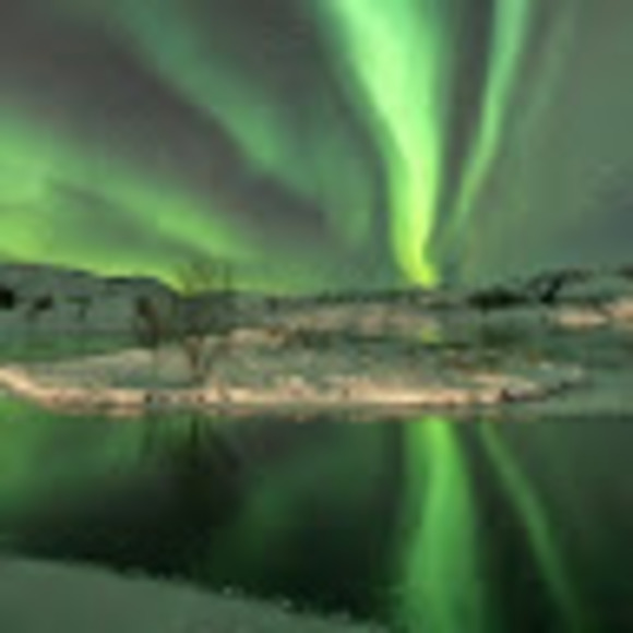 Meet your Posher, Solitary - Picture 1 of 1